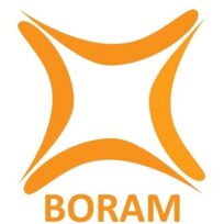 BORAM logo vector-1